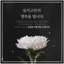 근조화환보내기 정성스럽게 위로의 마음을 전해드렸어요 이미지