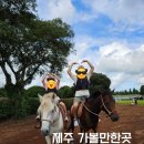 애정목장 | 제주 아이와 가볼만한곳/제주승마체험 &#34;카페목장 밭디&#34;