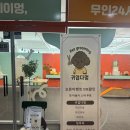 멍컷 | [부산/기장군] 부산 기장 애견미용 부산 정관 애견미용 귀엽다멍 포메라니안 물개컷 후기