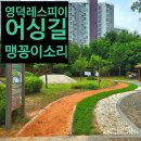 영덕레스피아 인라인하키장 | 영덕동 맹꽁이 울음소리 들으며 걷는 영덕레스피아 황토 어싱길