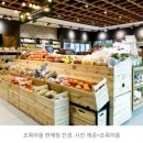 초록홀딩스 이미지