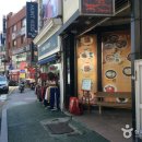나무포 이미지