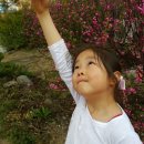 빛살과학 이미지