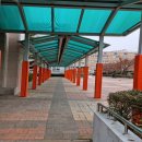 봉덕초등학교 이미지