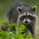 YY헬스센타 이미지