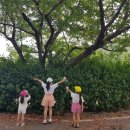 양을산산림욕장 이미지