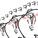 북문돈심 이미지