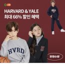 뉴트리카코리아