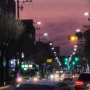 스튜디오 사모코 | 2026.03.