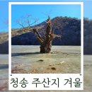 삼가리(매점) 공중화장실 | 청송 주왕산 주산지 겨울 여행 사진 주차장 시간