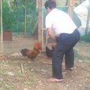 진형농장 이미지