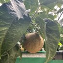 시골여행 | 시골 가서 제대로 힐링하고 왔어요! [요즘 핫한 촌캉스, 시골여행 후기]