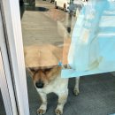 횡성휴게소(하) | 겨울 양양 여행지 낙산사 산책, 강릉 바다 구경