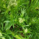 보경농장 이미지