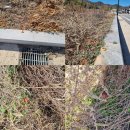 건축사사무소 인우 이미지