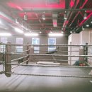 펀치라인 복싱짐 이미지