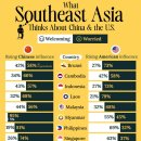 동남아시아가 중국과 미국에 대해 생각하는 것 이미지