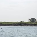 제주도 자운 스윔수트 게스트하우스 | 서귀포게하파티 자운스윔수트게스트하우스에서 수영복 모슬포 엘피 와인바랑 제주 돌고래 요트투어까지