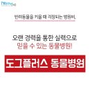 도그플러스동물병원 이미지