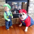 내가 누구개? 이미지