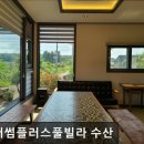 제주더썸플러스 풀빌라수산 이미지