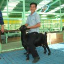 홍길동 농장 이미지