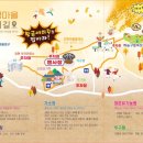 제10회 은행마을 단풍 축제 이미지