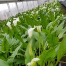 녹지원 농장 이미지