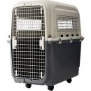 글로벌진돗개 이미지