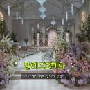 오페라 | 대전 팔레드오페라 웨딩홀 트리아농홀 후기, 식사·주차까지 솔직 후기💍