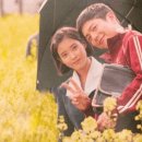 고창전통(상설)시장 | 고창 청농원 라벤더축제 피크시즌-팔도 장터열차와 함께하는 여행 고창 전통시장