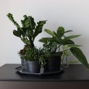 뽀빠이카 이미지