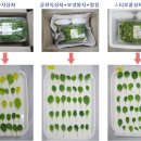 동일유통 정책브리핑