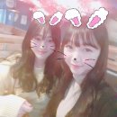 벚꽃포장마차 이미지