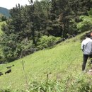 천해목장 이미지