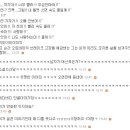 버디버디B 이미지