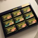 청원사료 | 26년 2월 #2 주간일기(블테기 극복하고 쓰는 첫 일기)