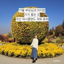 피나클랜드 | 부모님과 아이랑 가기 좋은 아산 피나클랜드 국화 축제 방문 후기