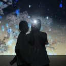 진도여라 이미지