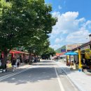 청송비디오 이미지