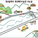 정선베다니자연농장 이미지