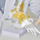 아침한의원 이미지