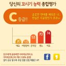 숲속의 앨리스 | 여자들이많이하는게임 숲속의앨리스 모바일게임사전등록 하세요!