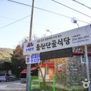청송오리 이미지