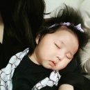 떡볶이쥬쥬