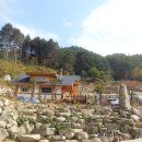욱일농원 Daum카페