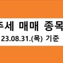 에스씨에이티