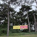 황새둥지 | 서산 여행 : 간월암, 서산버드랜드, 야생동물치료센터, 해미읍성, 교황빵 (서산 당일치기)