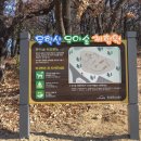 무학숲도서관 이미지