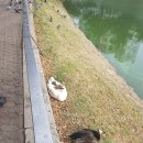 조원고시타워 | 의사 국가고시 실기 시험 후기, 서울 혼자 1박2일 1일...별마당도서관, 오모리찌개, 롯데타워, 석촌호수